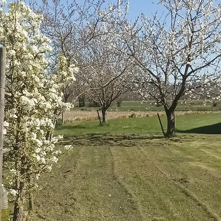 Prat Hébergement de vacances Livron